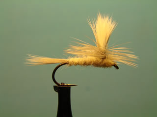 Parachute Hendrickson Light (12-16)
